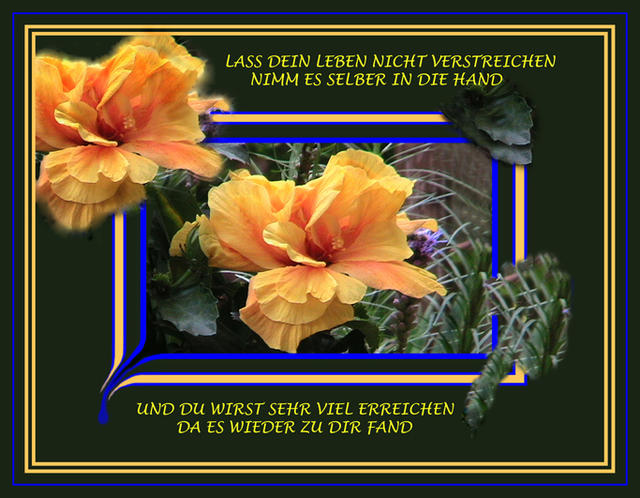gelbe blume 4 b