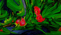 urwald 2