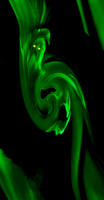 der waldgeist